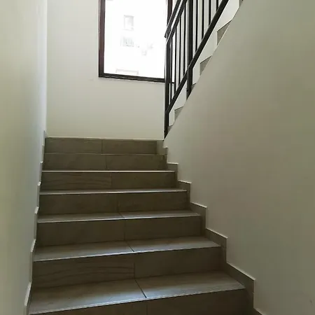 Faro * زاماردي